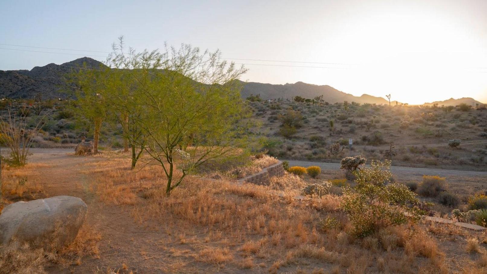 Experience Desert Serenity Gateway To جوشوا تري المظهر الخارجي الصورة